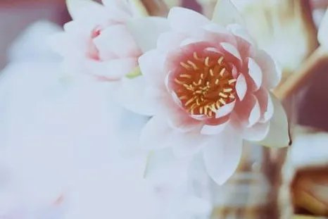 友情感情说说很现实的句子