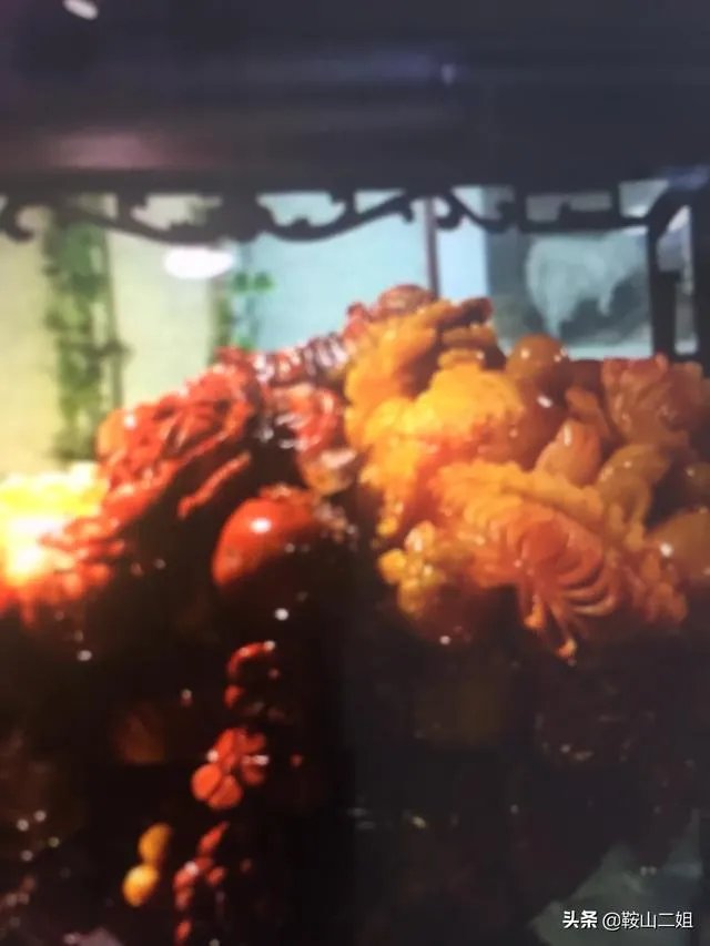 富人的生活是怎么样的？