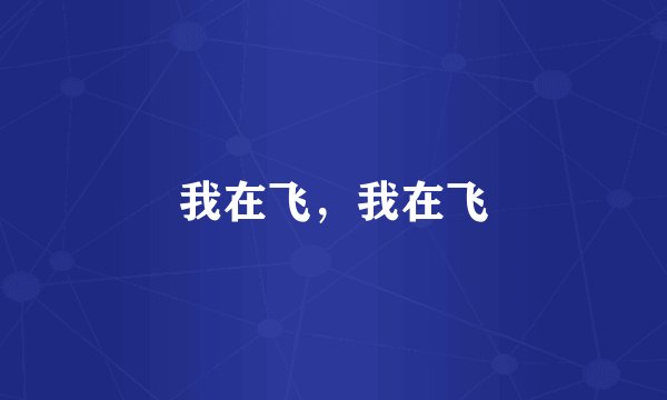 我在飞,我在飞