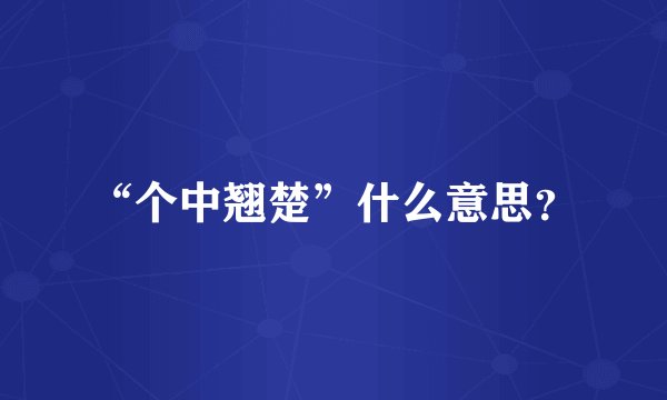 “个中翘楚”什么意思？