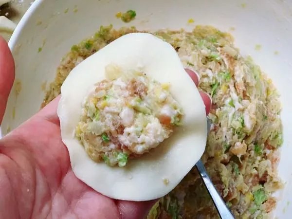猪肉白菜饺子用什么白菜
