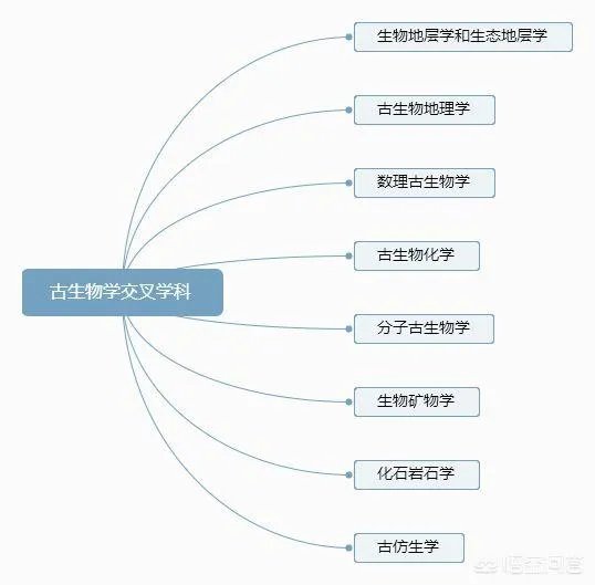 古生物学是怎样的专业？
