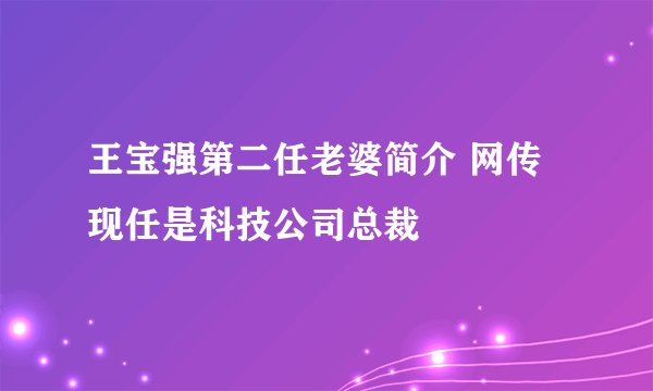 王宝强第二任老婆简介 网传现任是科技公司总裁