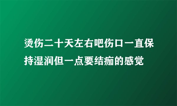 烫伤二十天左右吧伤口一直保持湿润但一点要结痂的感觉