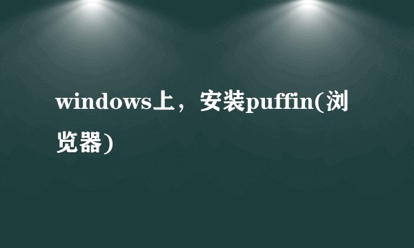 windows上，安装puffin(浏览器)