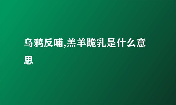 乌鸦反哺,羔羊跪乳是什么意思