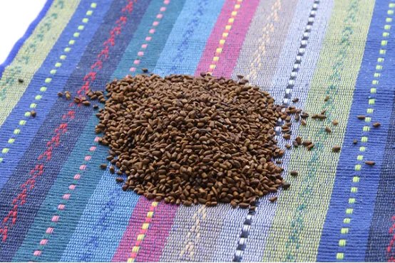 吃什么去肝火见效快