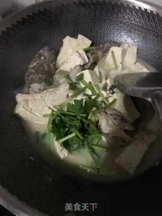 海鲶鱼炖豆腐