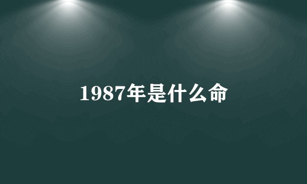 1987年是什么命