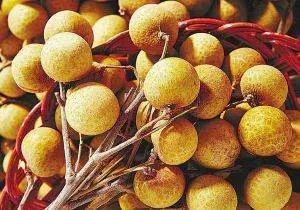 桂圆的英语怎么读？