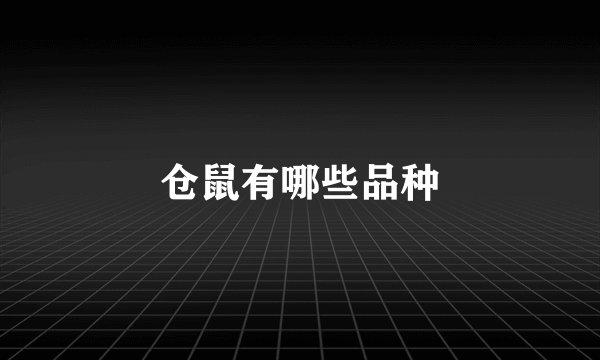 仓鼠有哪些品种