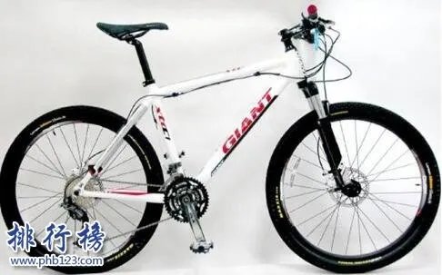山地自行车十大品牌排行榜:凤凰、永安上榜 第4美国品牌
