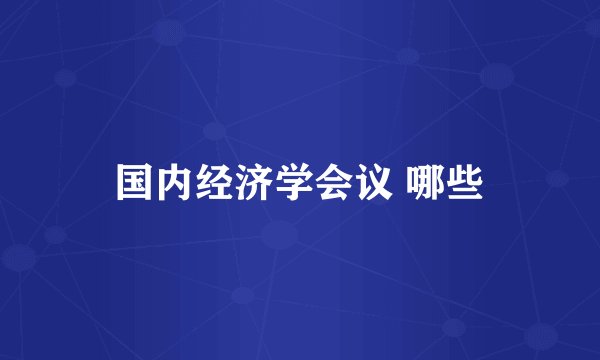 国内经济学会议 哪些
