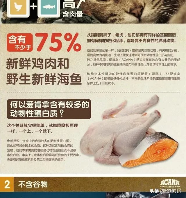 有没有比较好的猫粮推荐一下？