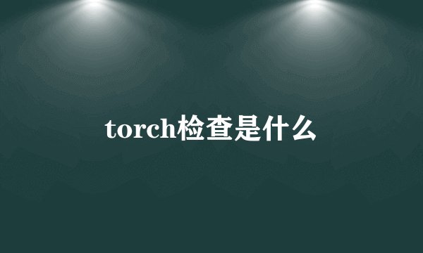 torch检查是什么