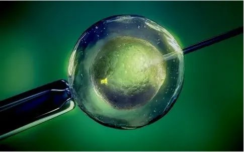 助孕机构-多省市提倡捐精，“秃头、近视”错过北京，台湾女模也出来帮忙