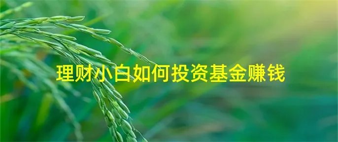 理财小白如何投资基金赚钱