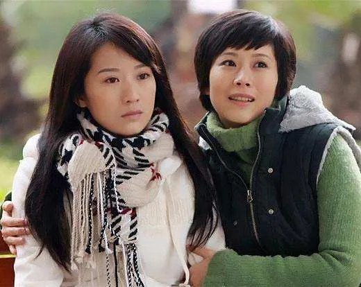 海清演过的电视剧有哪些?