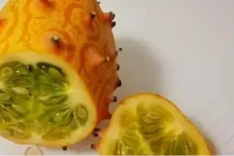 火参果的功效与作用