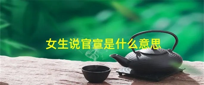 女生说官宣是什么意思