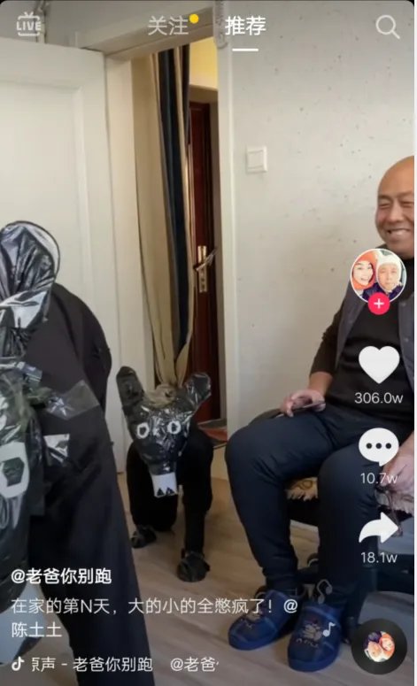 毛驴拉磨走不出那个圈是什么歌