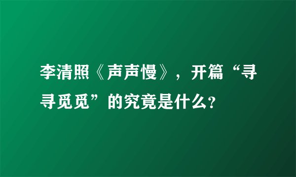 李清照《声声慢》，开篇“寻寻觅觅”的究竟是什么？
