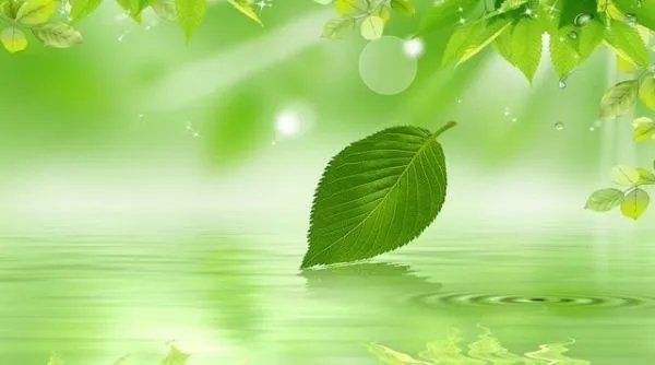 双鱼座男生和天蝎座女生合适吗?