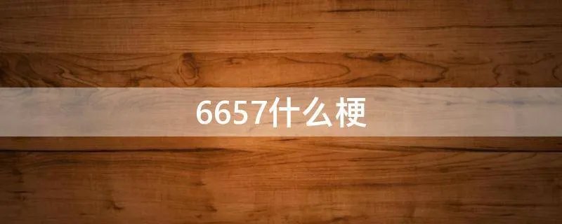 6657什么梗