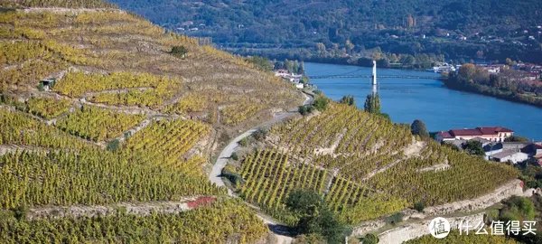 【深度干货】罗纳河谷产区详解（上：北罗篇）