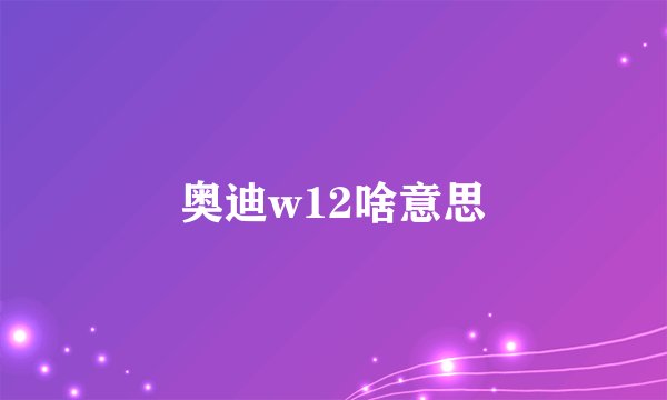 奥迪w12啥意思