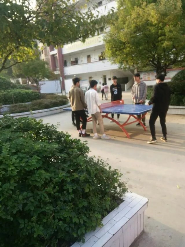 Reno Ace适合学生党用吗?