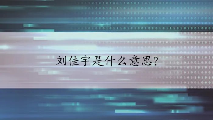 刘佳宇是什么意思？