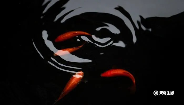 水至清则无鱼人至察则无徒的哲理