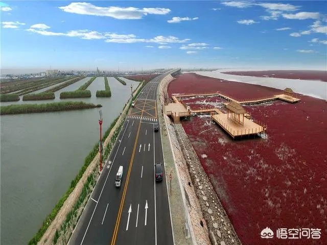 辽宁红海滩值得去吗?为什么海滩是红色的呢?