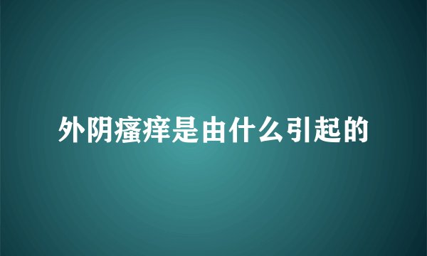 外阴瘙痒是由什么引起的