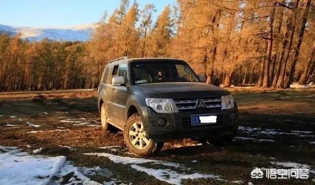 50万左右，买什么suv好呢？