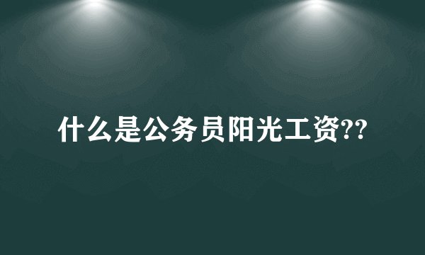 什么是公务员阳光工资??