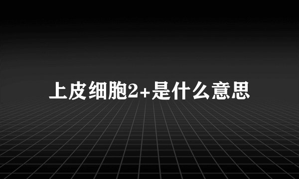 上皮细胞2+是什么意思