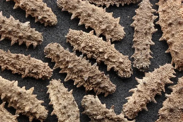 海参怎么泡发的快