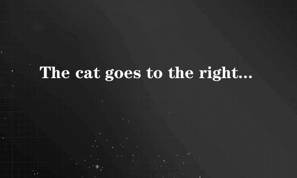 The cat goes to the right.To c