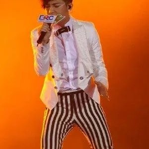 布丁网的网站概况