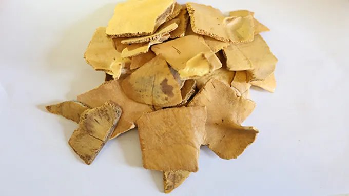 龟板胶的功效与作用