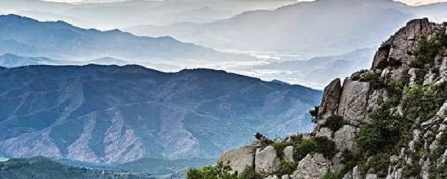 什么然不动可以组哪些成语