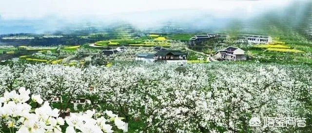 广元还有哪些旅游景点推荐？