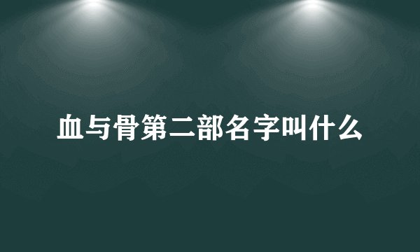 血与骨第二部名字叫什么
