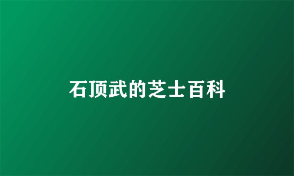 石顶武的芝士百科