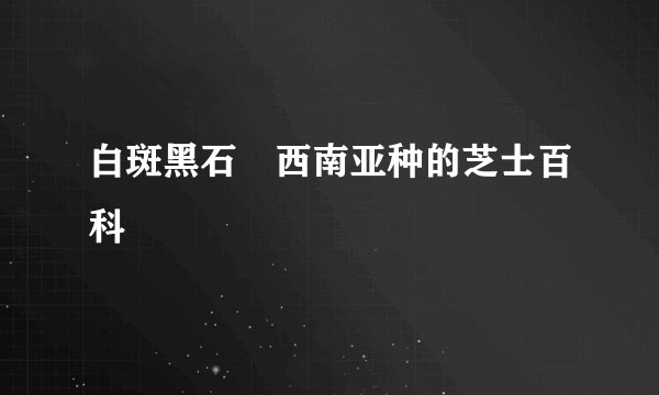白斑黑石鵖西南亚种的芝士百科