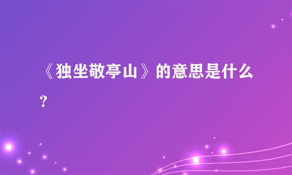 《独坐敬亭山》的意思是什么？