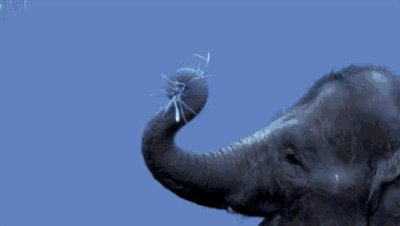 干掉人类的会是它们吗?2019全球最强9大超级仿生机械!