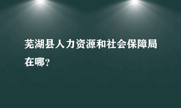 芜湖县人力资源和社会保障局在哪？